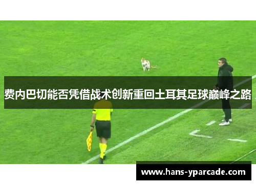 费内巴切能否凭借战术创新重回土耳其足球巅峰之路 费内巴切能否凭借战术创新重回土耳其足球巅峰之路