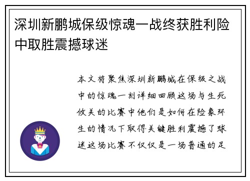 深圳新鹏城保级惊魂一战终获胜利险中取胜震撼球迷